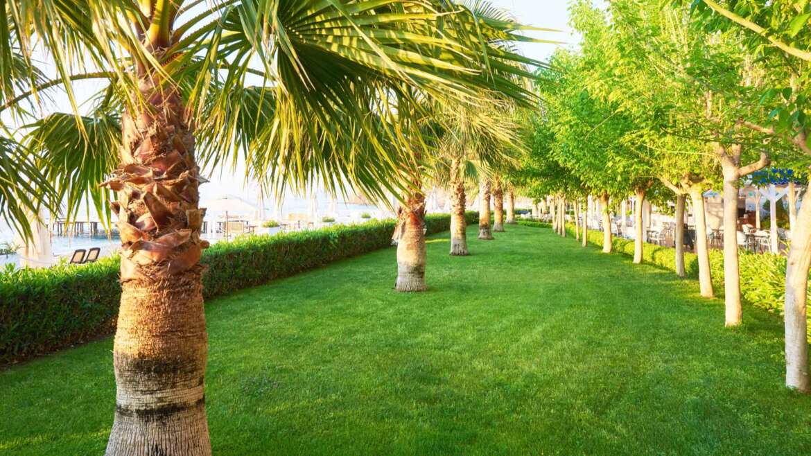 Pembroke Pines